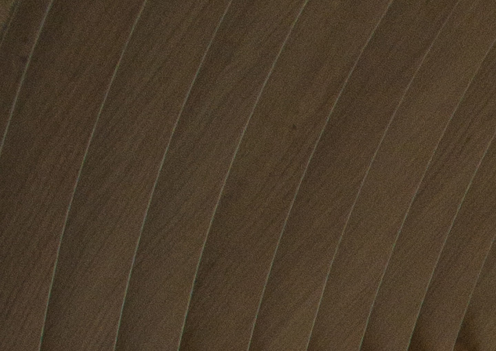 wood panels 