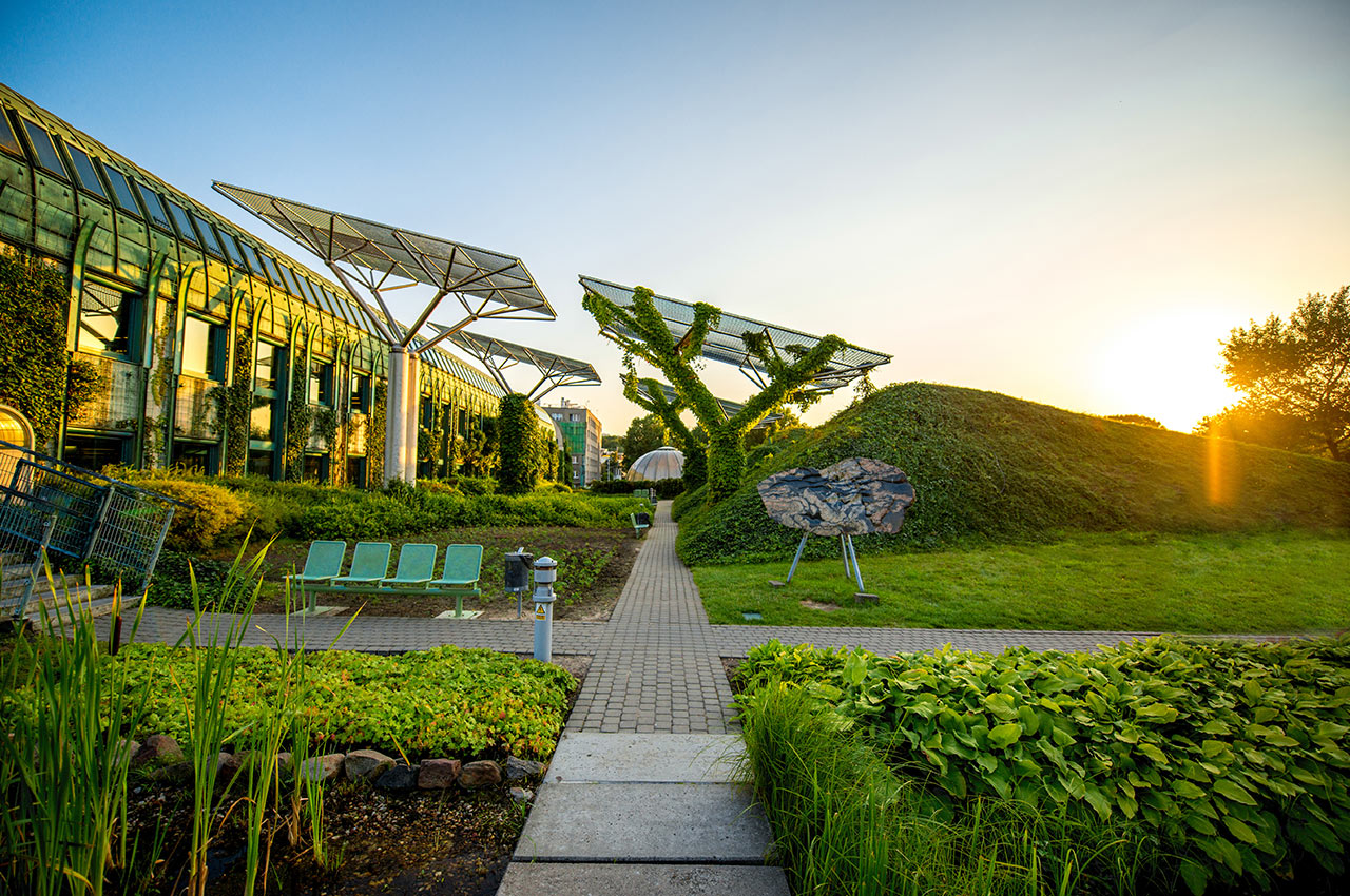 Image of green space with solar panels