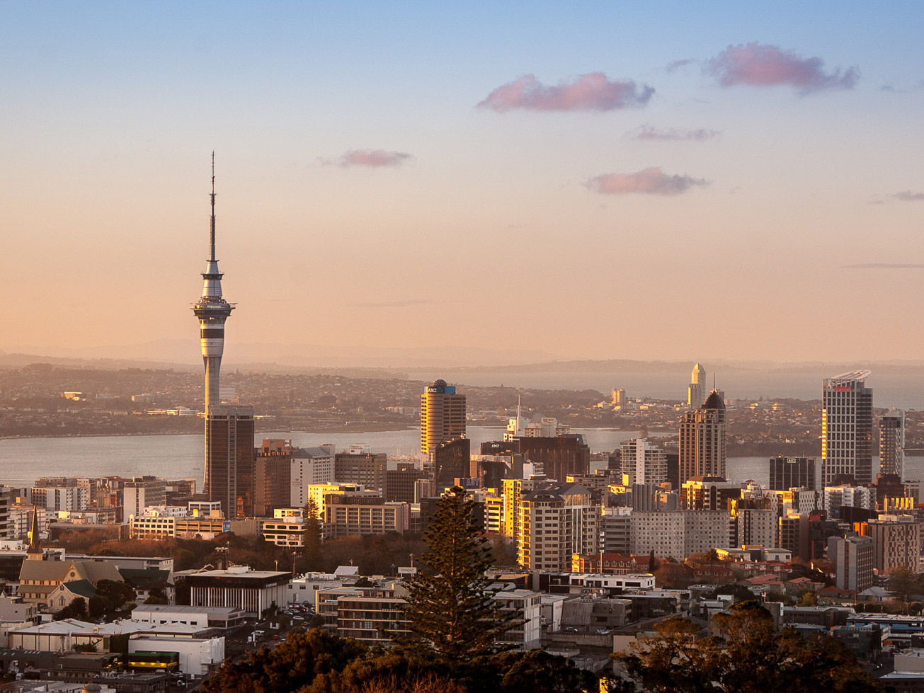 Auckland image