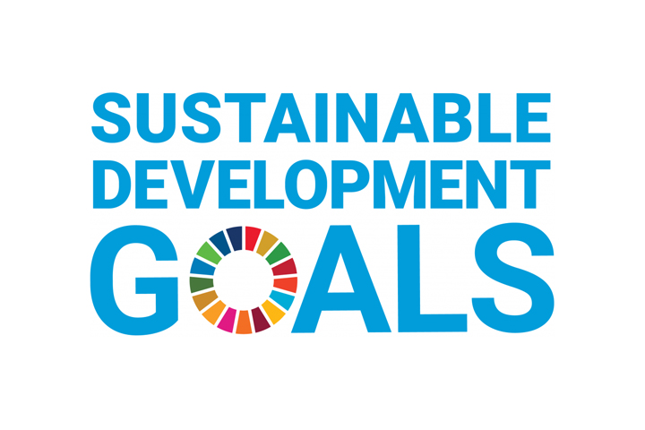 sustainable development goals logo 