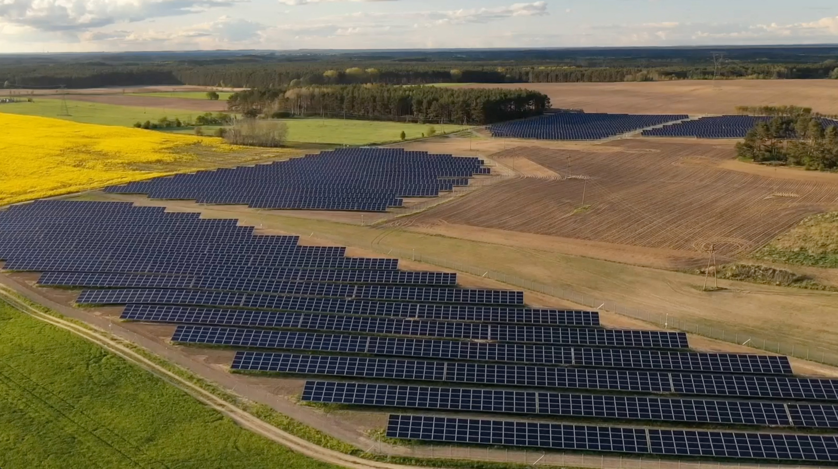 solar panels in a field