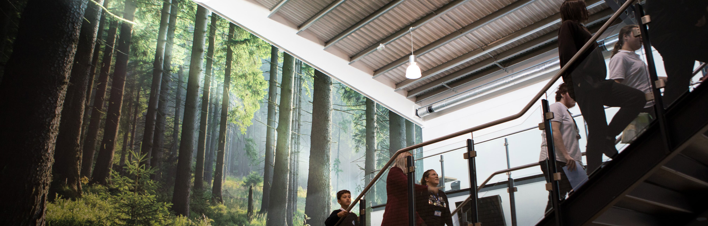 image of people walking up stairs